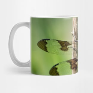 Delicate Landing, Dragonfly Photograph Mug